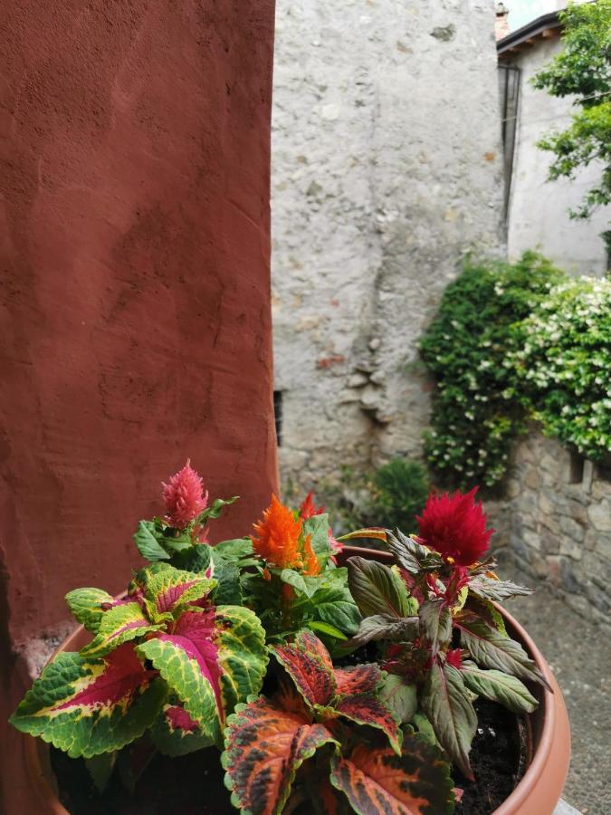 Alla Torre Del Barbarossa B&B Foresteria Mandello del Lario Kültér fotó