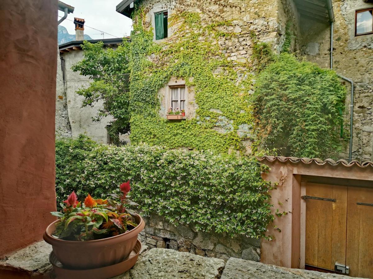 Alla Torre Del Barbarossa B&B Foresteria Mandello del Lario Kültér fotó